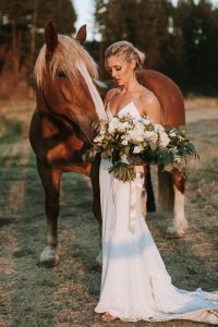 paard op je bruiloft