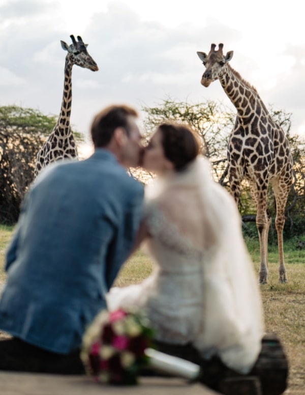 Safari bruiloft