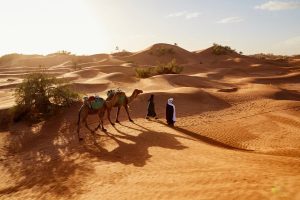 Bijzondere huwelijksreizen Dubai Desert