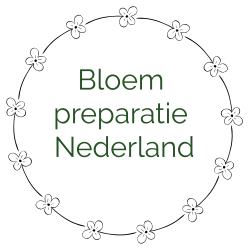 bloempreparatie nederland header 1