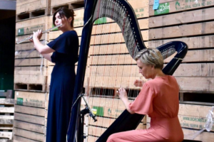 tickeld pink bruiloft duo fluit en harp weddingfair