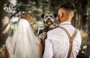 marriage dogs hond op je bruiloft weddingfair