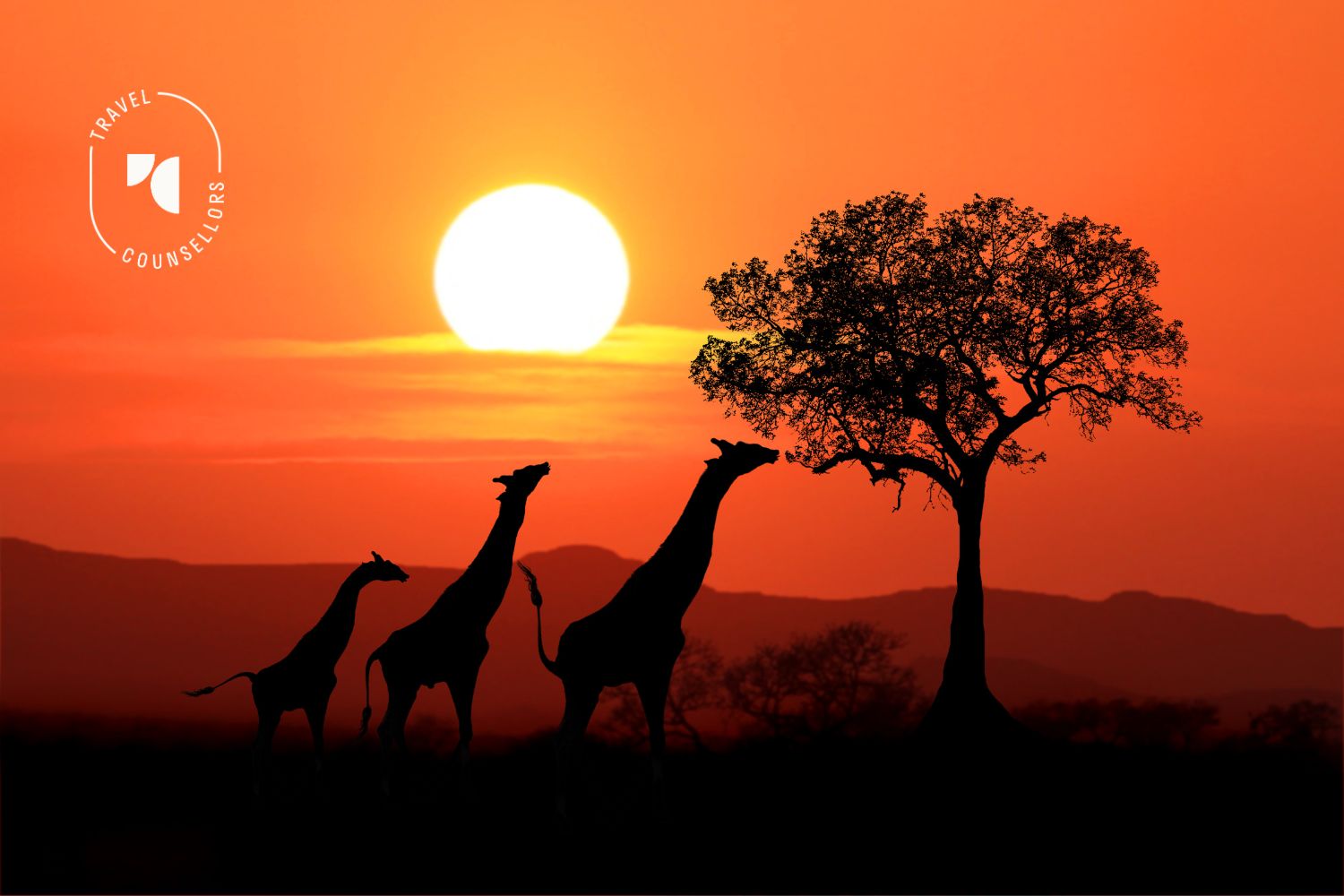 marieke valbracht travel counsellor honeymoon